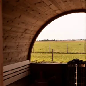 <i>SURPRISE ME</i> DAG <br>